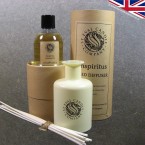 St Eval Candles - Inspiritus Fragranced Reed Diffusers